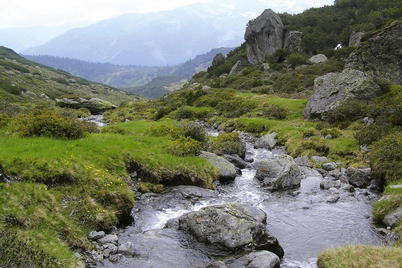 Apartments Schatzberg-Haus, Wildschoenau-Auffach Eksteriør bilde