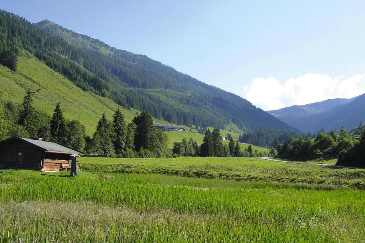 Apartments Schatzberg-Haus, Wildschoenau-Auffach Eksteriør bilde